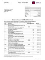 Natwest Bank Statement - Custom Fake, Replica, Novelty Bank Statements