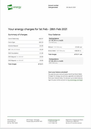 OVO Energy Utility Bill - Custom Fake, Replica, Novelty Utility Bills