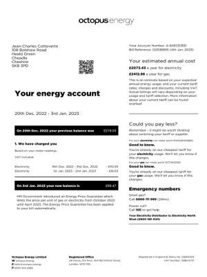 Octopus Energy Utility Bill - Custom Fake, Replica, Novelty Utility Bills