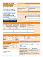 P60 - Replacement Document - Custom Fake, Replica, Novelty Bank Statements & Utility Bills