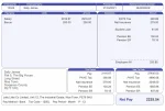 Replacement Payslips Document - Custom Fake, Replica, Novelty Bank Statements & Utility Bills