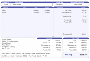 Replacement Payslips Document - Custom Fake, Replica, Novelty Bank Statements & Utility Bills