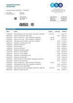 TSB Bank Statement - Custom Fake, Replica, Novelty Bank Statements