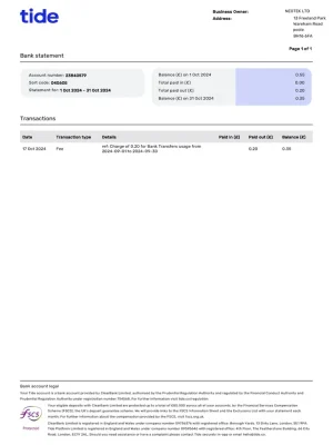 Tide Bank Statement - Custom Fake, Replica, Novelty Bank Statements